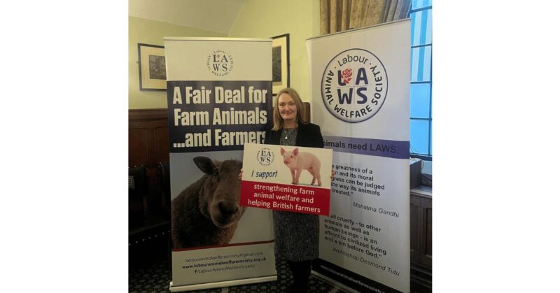 Jo Platt meets with The Labour Animal Welfare Society.